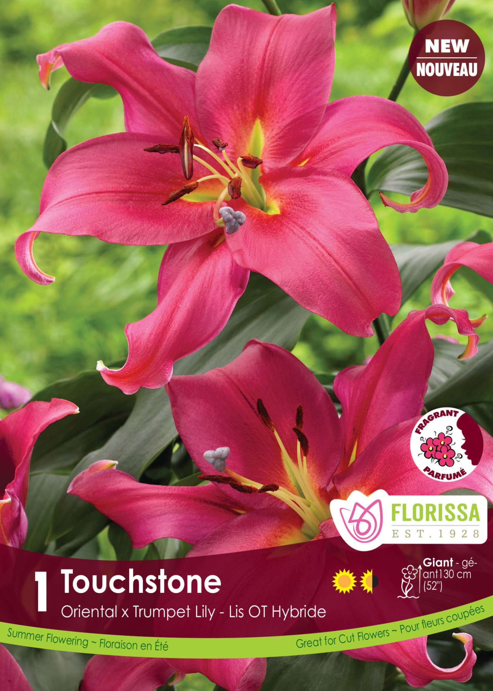 Florissa Touchstone Lily 1/pkg 335-122-24