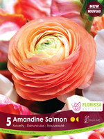 Florissa Amandine Salmon Ranuncules 5/pkg