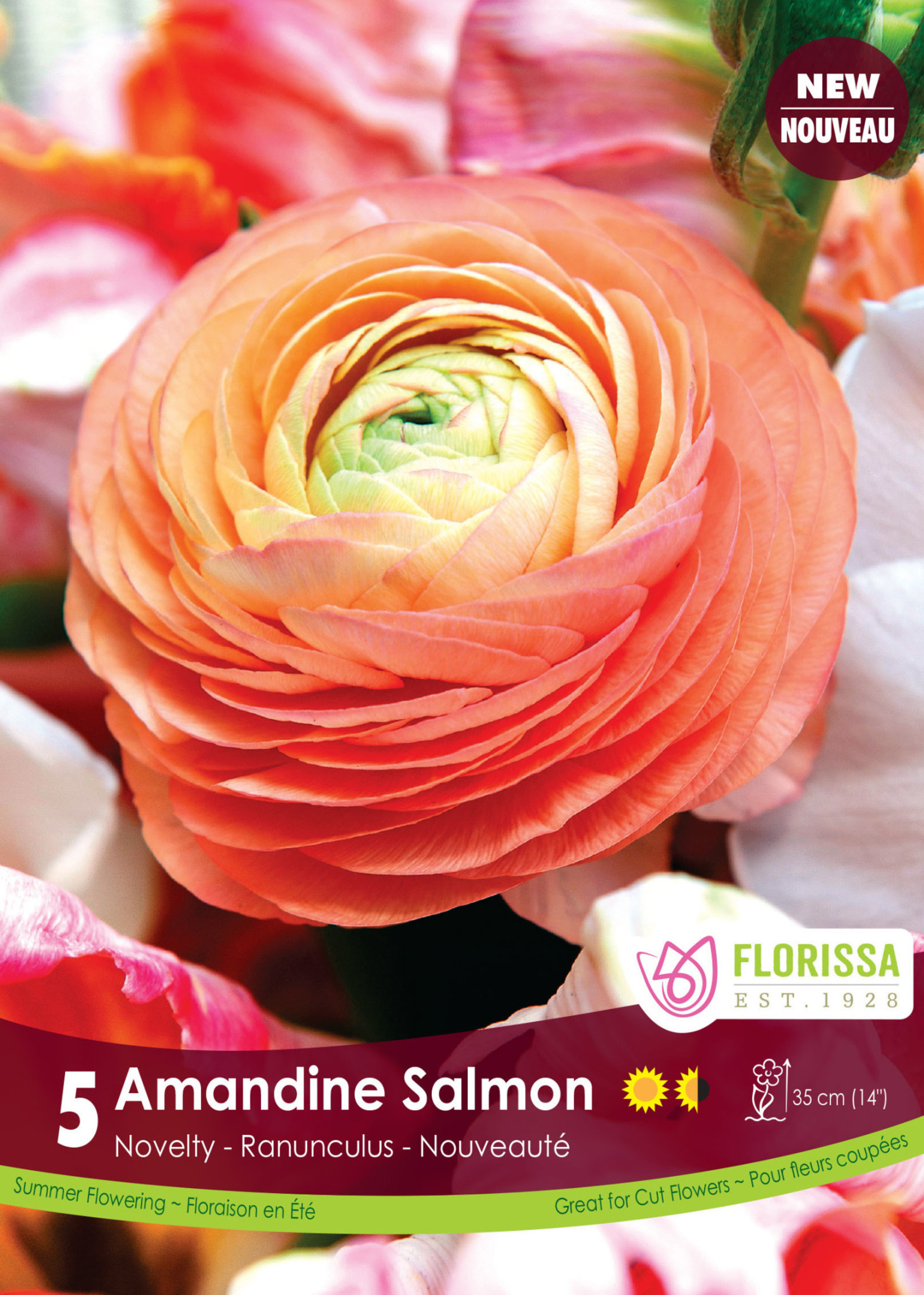 Florissa Amandine Salmon Ranuncules 5/pkg