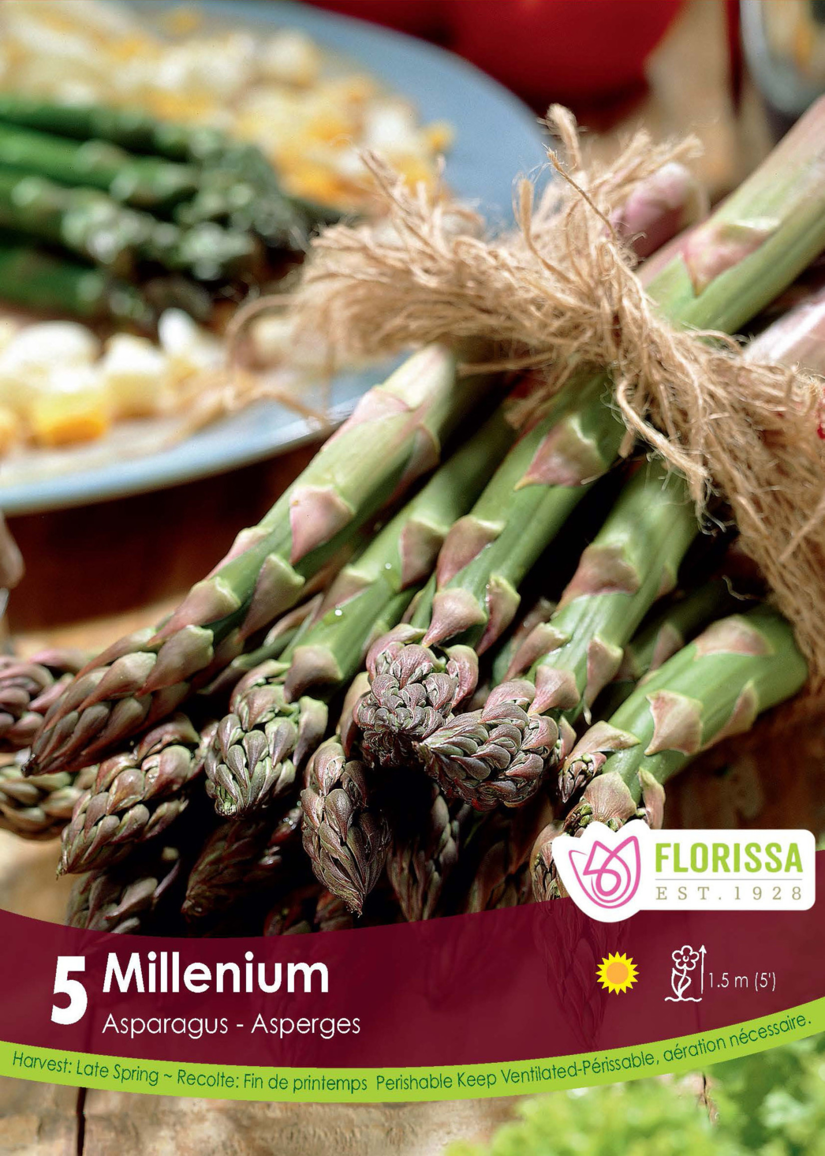 Florissa Millennium Asparagus 5/pkg
