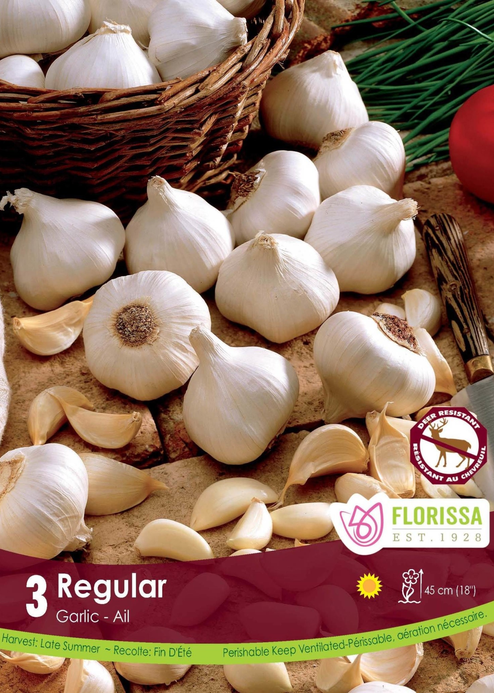 Florissa White Regular Garlic 3/pkg