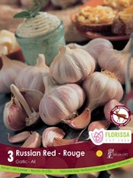 Florissa Russian Red Garlic 3/pkg