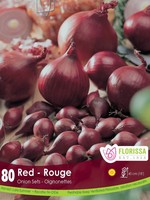 Florissa Red Onion 80/pkg
