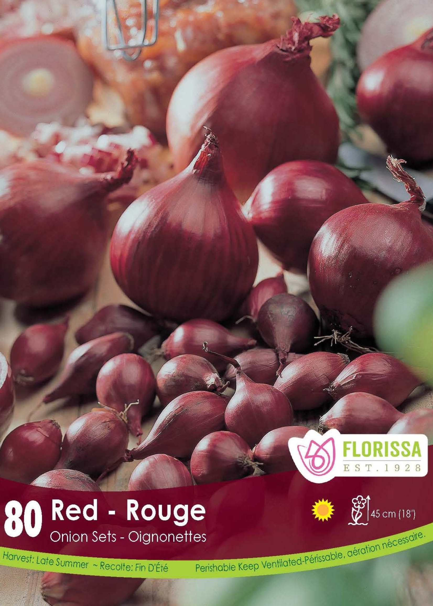Florissa Red Onion 80/pkg 340-260-01
