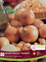 Florissa Spanish Onion 80/pkg 340-300-01