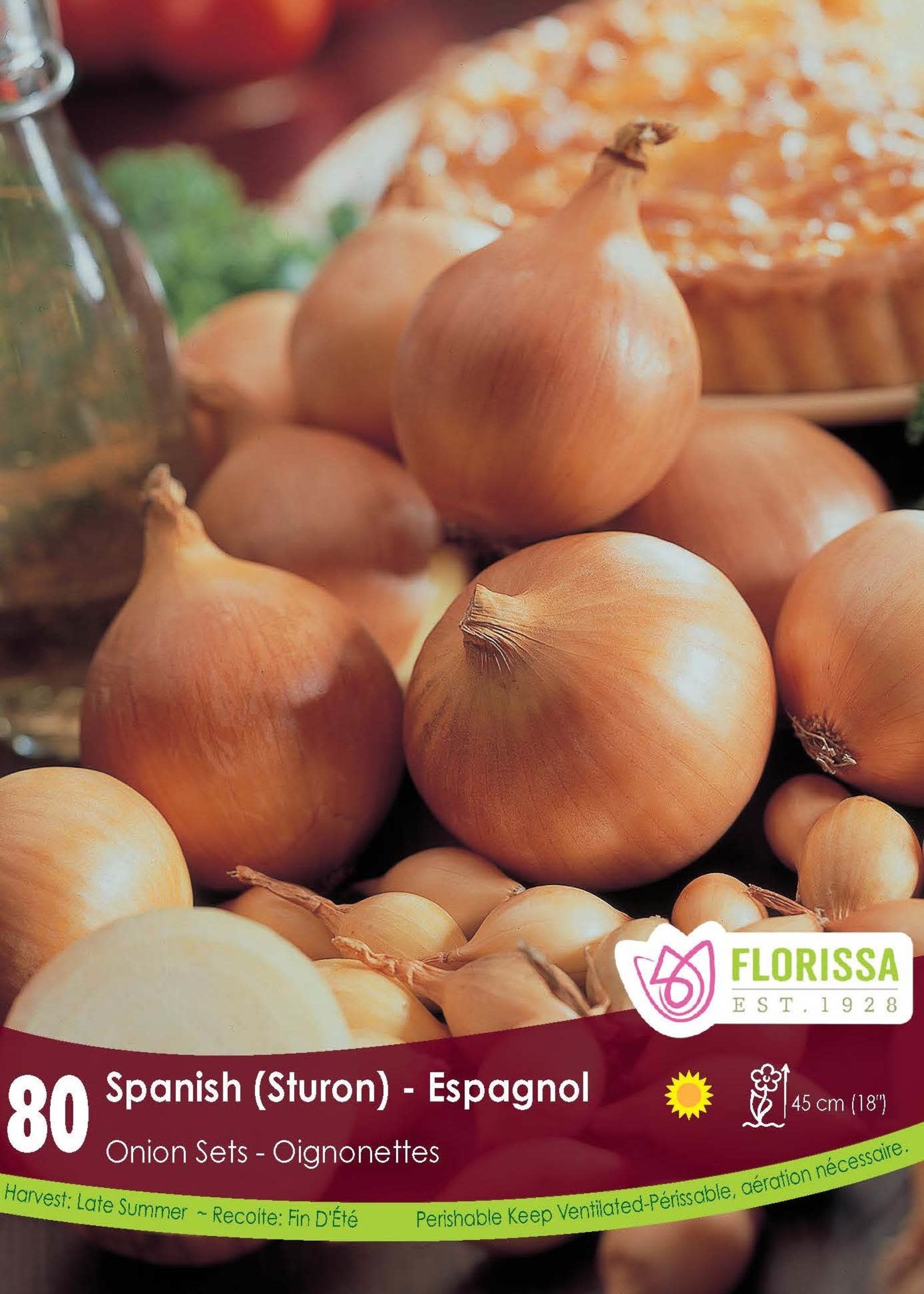 Florissa Spanish Onion 80/pkg 340-300-01
