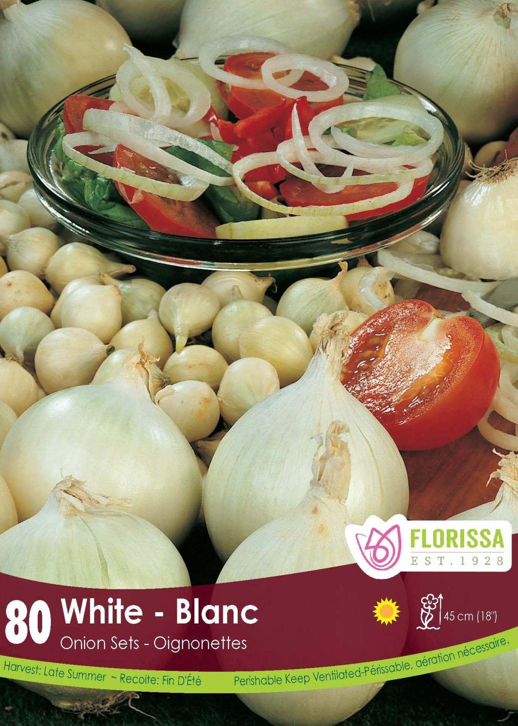 Florissa White Onion 80/pkg 340-280-01