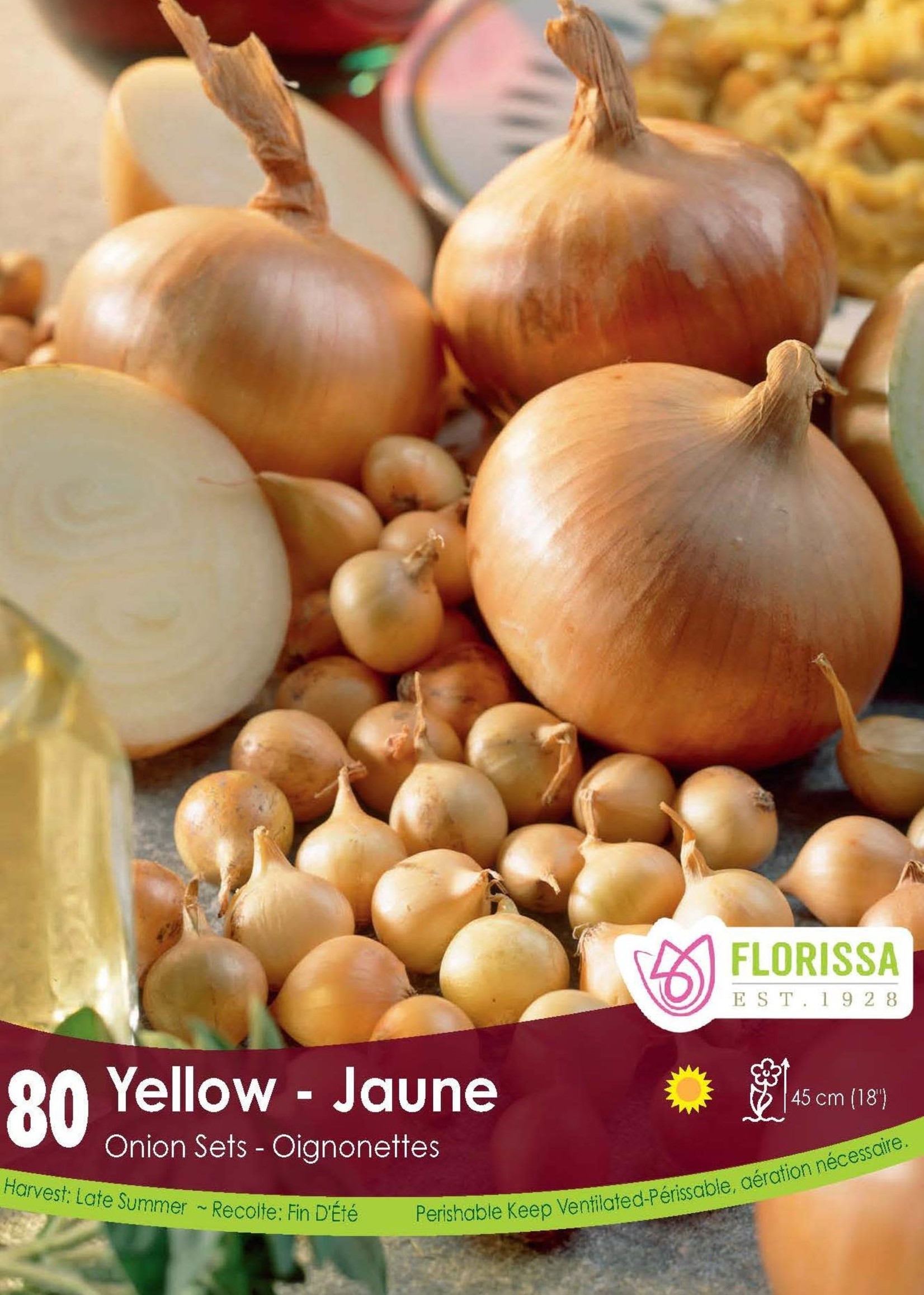 Florissa Yellow Onion 80/pkg 340-220-01