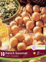 Florissa French Gourmet Shallots 10/pkg 340-320-01