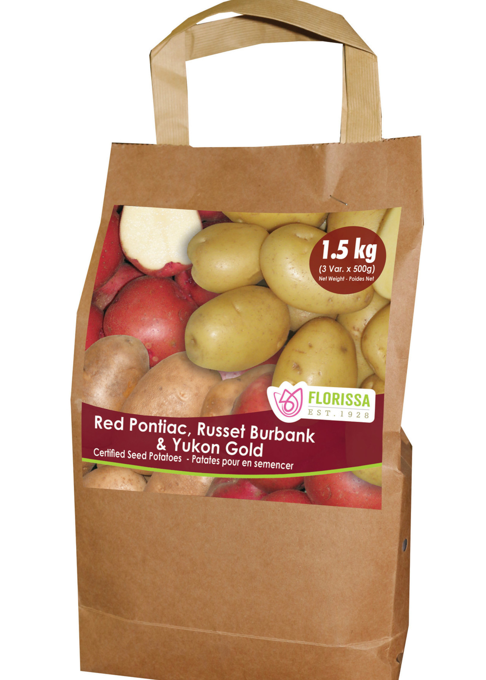 Florissa 1.5 kg Potato (C1) Combo Sack