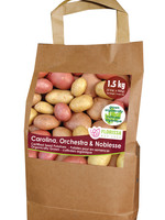 Florissa 1.5 kg Organic (C5) Potato Combo Bag