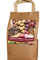 Florissa 1.5 kg Nugget Potato (C4) Combo Sack
