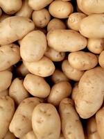 Florissa 2 kg Kennebec Potato 340-400-01