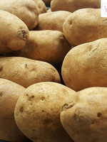 Florissa 2 kg Russet Burbank Potato 340-440-01