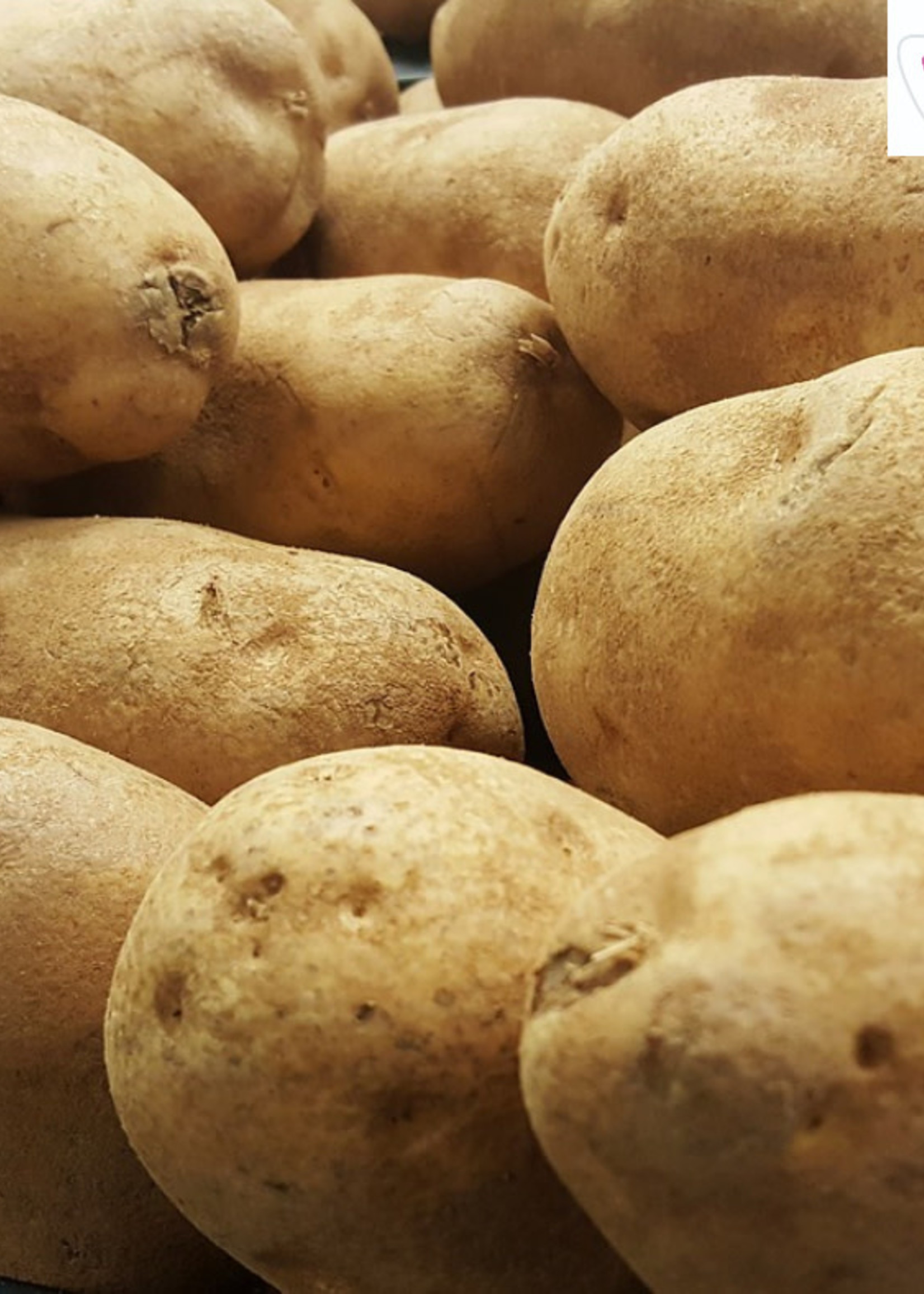 Florissa 2 kg Russet Burbank Potato 340-440-01
