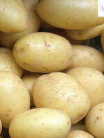 Florissa 2 kg Warba Potato 340-370-01