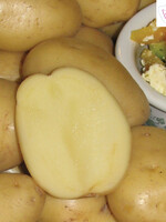 Florissa 2 kg Yukon Gold Potato 340-420-01