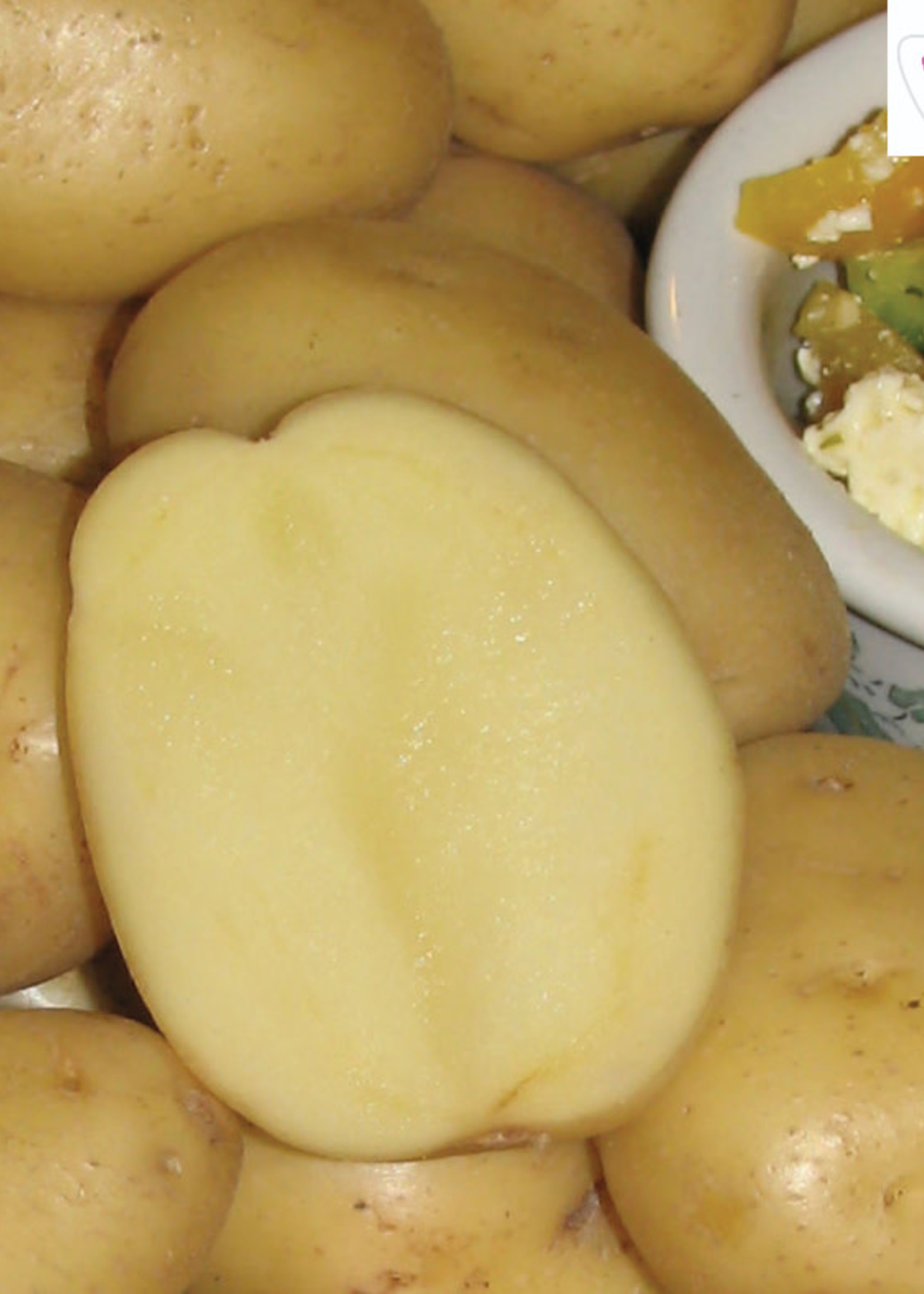 Florissa 2 kg Yukon Gold Potato 340-420-01