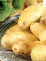 Florissa 500 g Gourmet Banana Potato