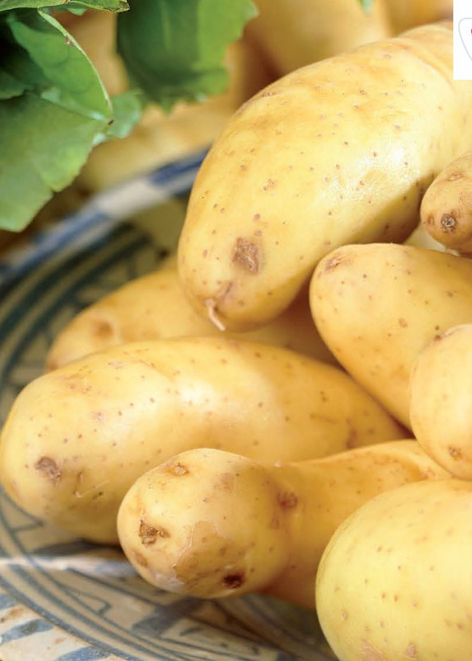 Florissa 500 g Gourmet Banana Potato