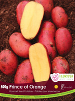 Florissa 500 g Prince of Orange Gourmet Potato 340-538-01