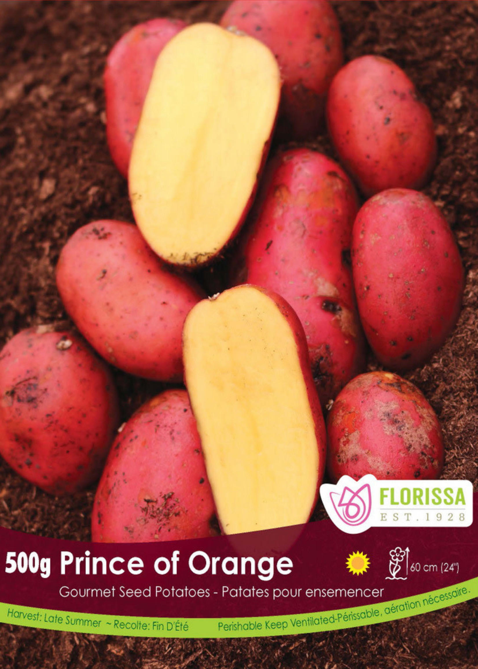 Florissa 500 g Prince of Orange Gourmet Potato 340-538-01