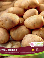 Florissa 500 g Gourmet Sieglinde Potato 340-540-01