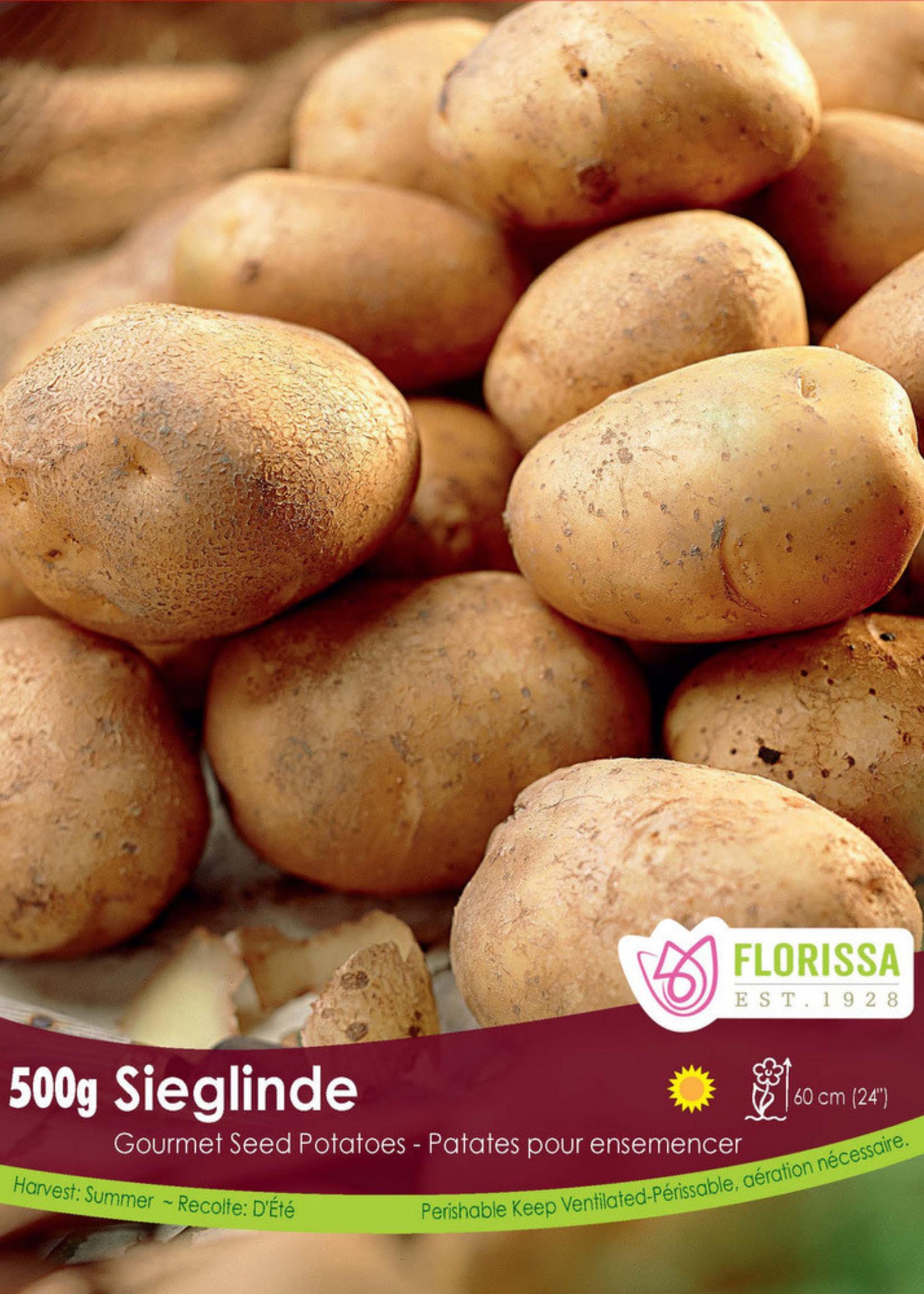 Florissa 500 g Gourmet Sieglinde Potato 340-540-01
