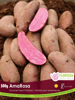 Florissa 500 g Amarosa Gourmet Potato
