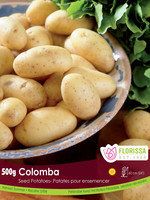 Florissa 2 kg Columba Potato