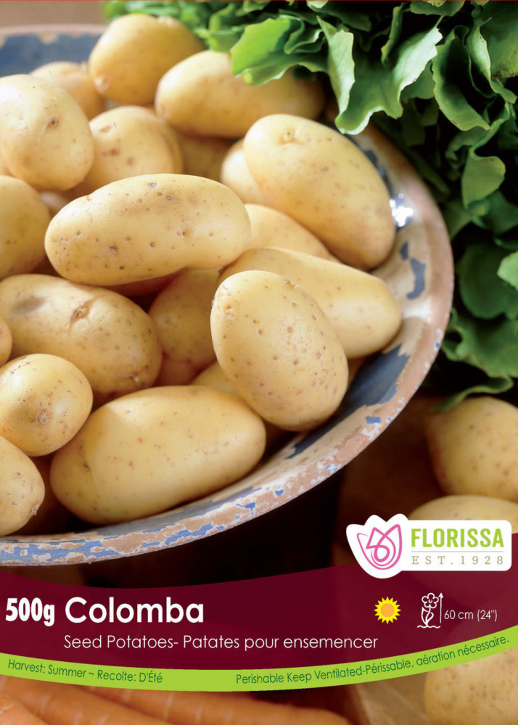 Florissa 2 kg Columba Potato