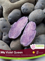 Florissa 500 g Violet Queen Gourmet Potato