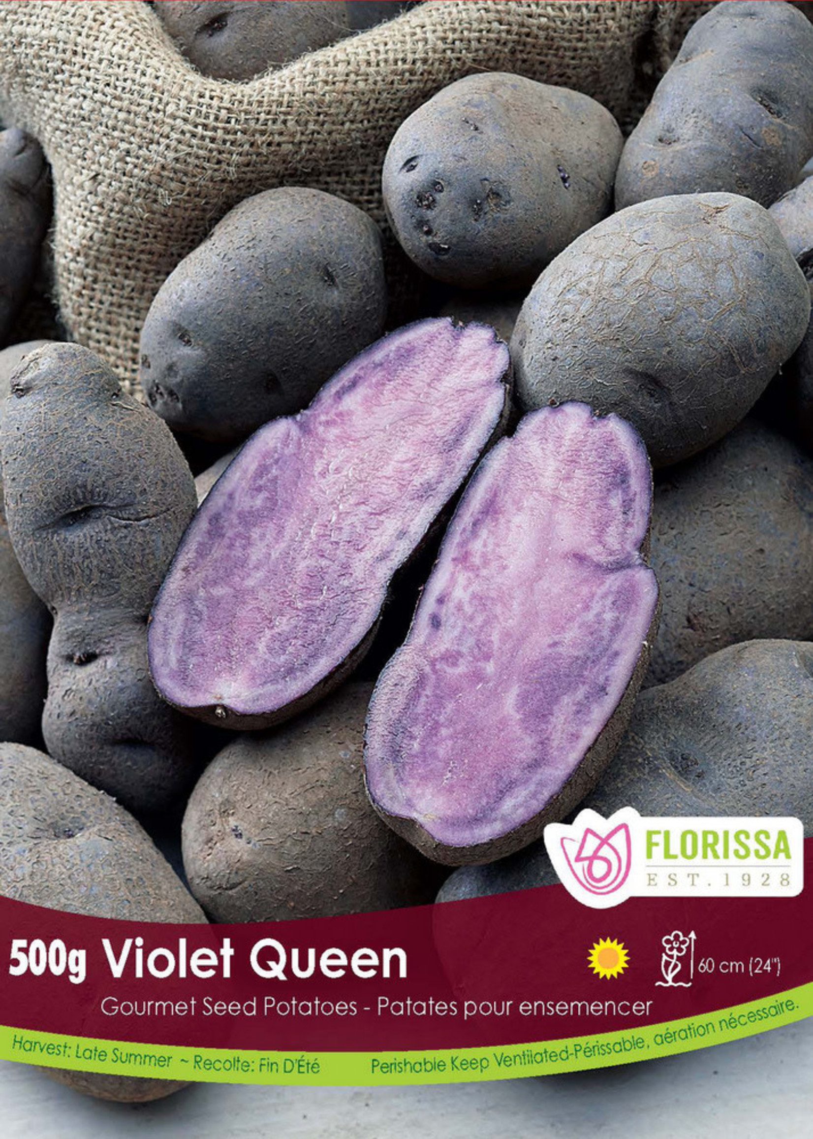 Florissa 500 g Violet Queen Gourmet Potato
