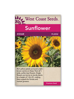 West Coast Seeds Zohar Sunflower
