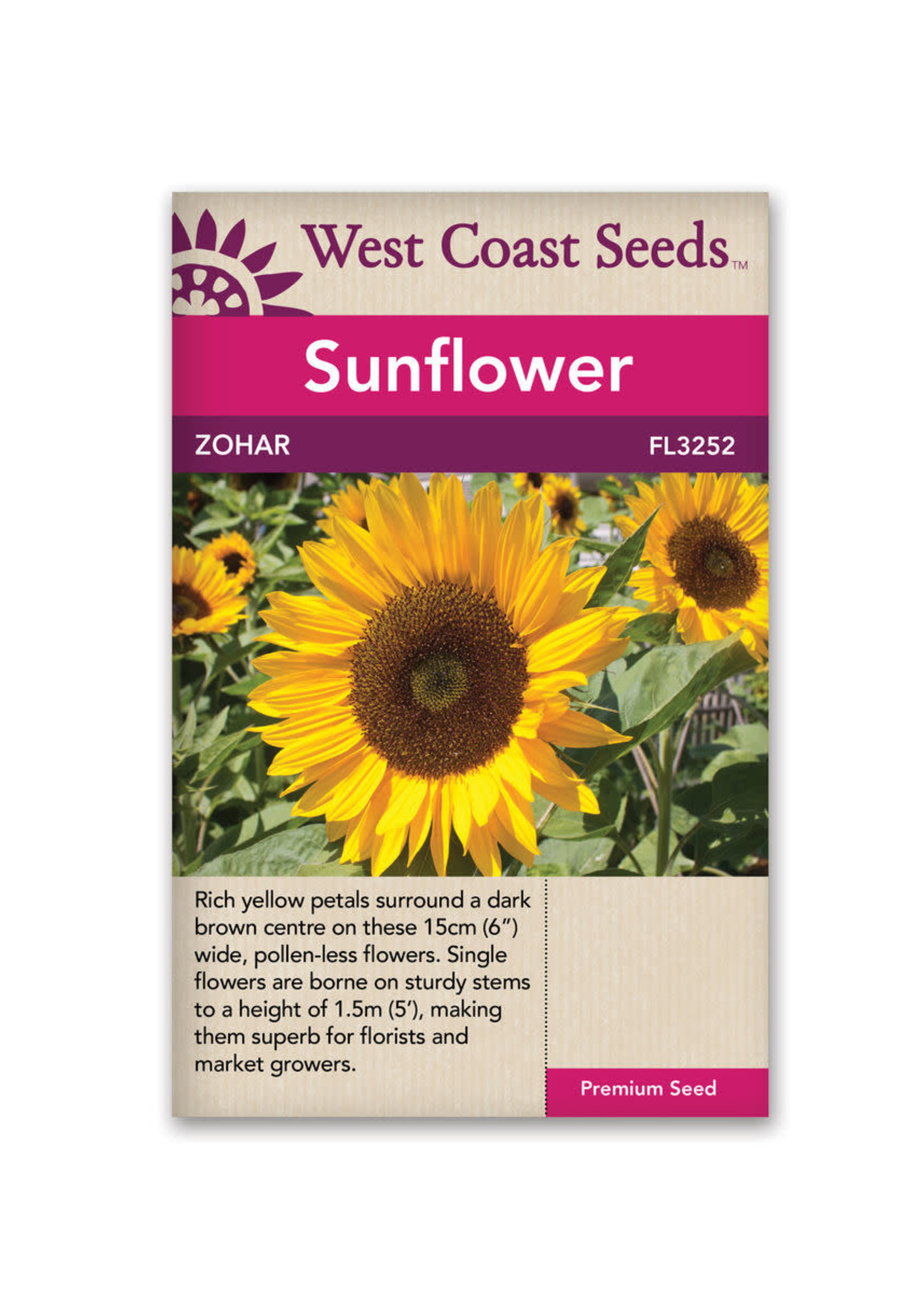 West Coast Seeds Zohar Sunflower
