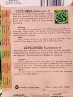 Aimers Organic Seeds Marketmore Cucumber Certified Organic