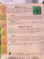Aimers Organic Seeds Genovese Basil Certified Organic