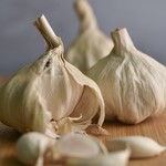 Fall Garlic