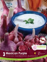 Florissa Mexican Purple Garlic 3/pkg