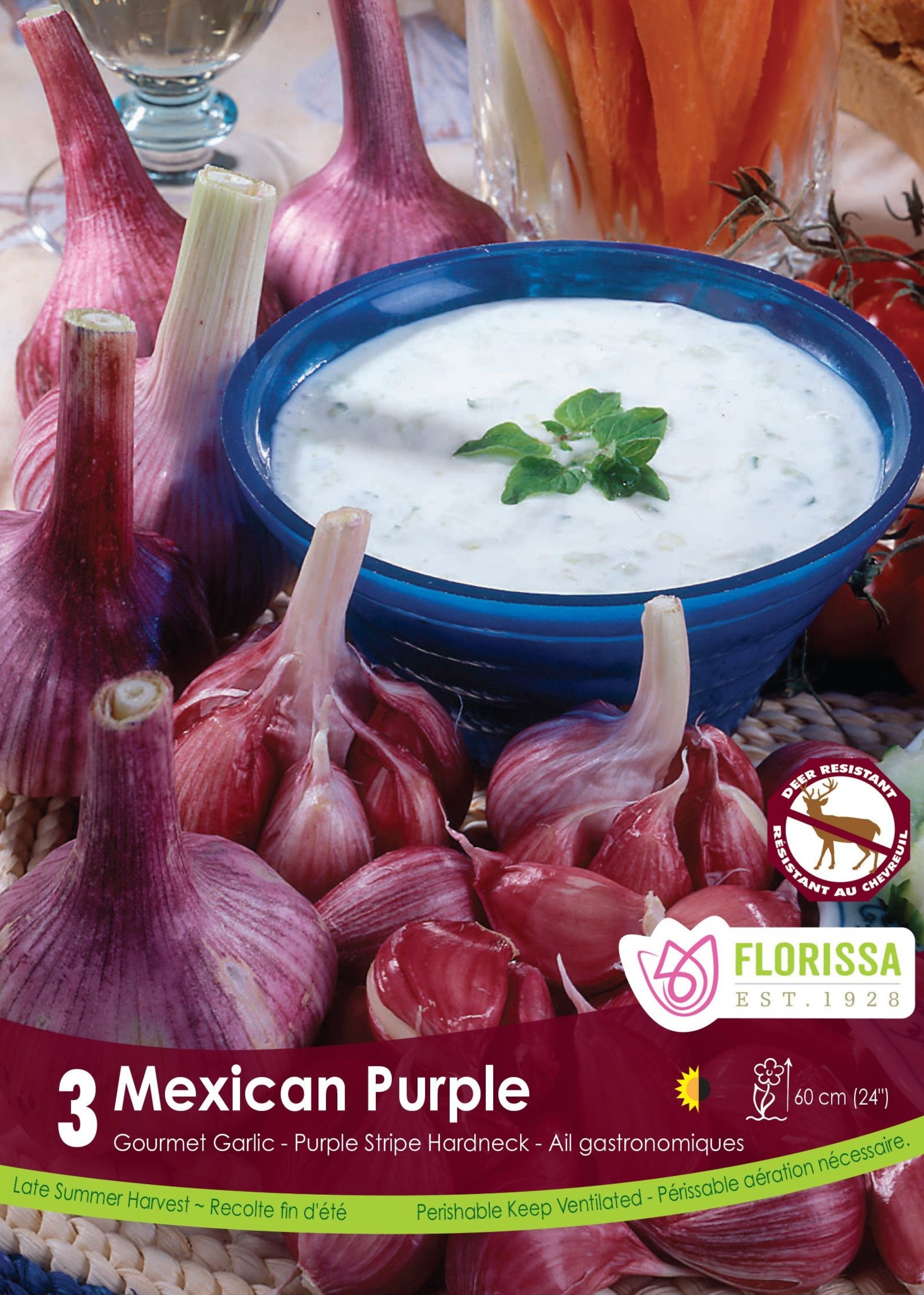 Florissa Mexican Purple Garlic 3/pkg