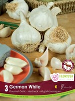 Florissa German White Garlic 3/pkg