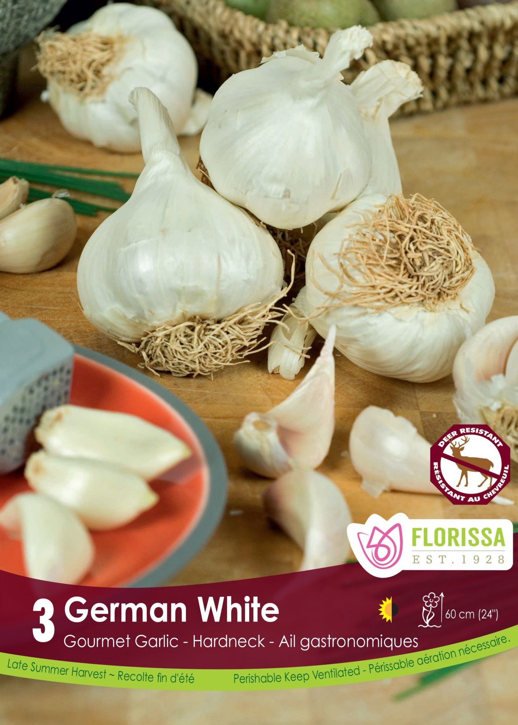 Florissa German White Garlic 3/pkg