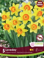 Florissa Loveday Daffodil (Narcissi) 5/pkg
