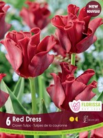 Florissa Red Dress Tulip 6/pkg