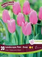 Florissa Mammoth Pack Landscape Pink Tulip 20/pkg
