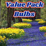 Value Pack Bulbs