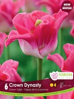 Florissa Crown of Dynasty Tulip 6/pkg