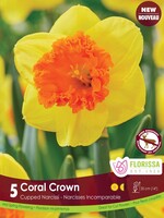 Florissa Coral Crown Daffodil (Narcissi) 5/pkg