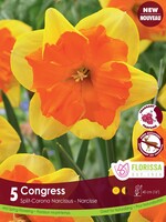 Florissa Congress Daffodil (Narcissi) 5/pkg