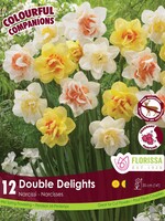 Florissa Colourful Companions Double Delights Daffodil Blend 12/pkg